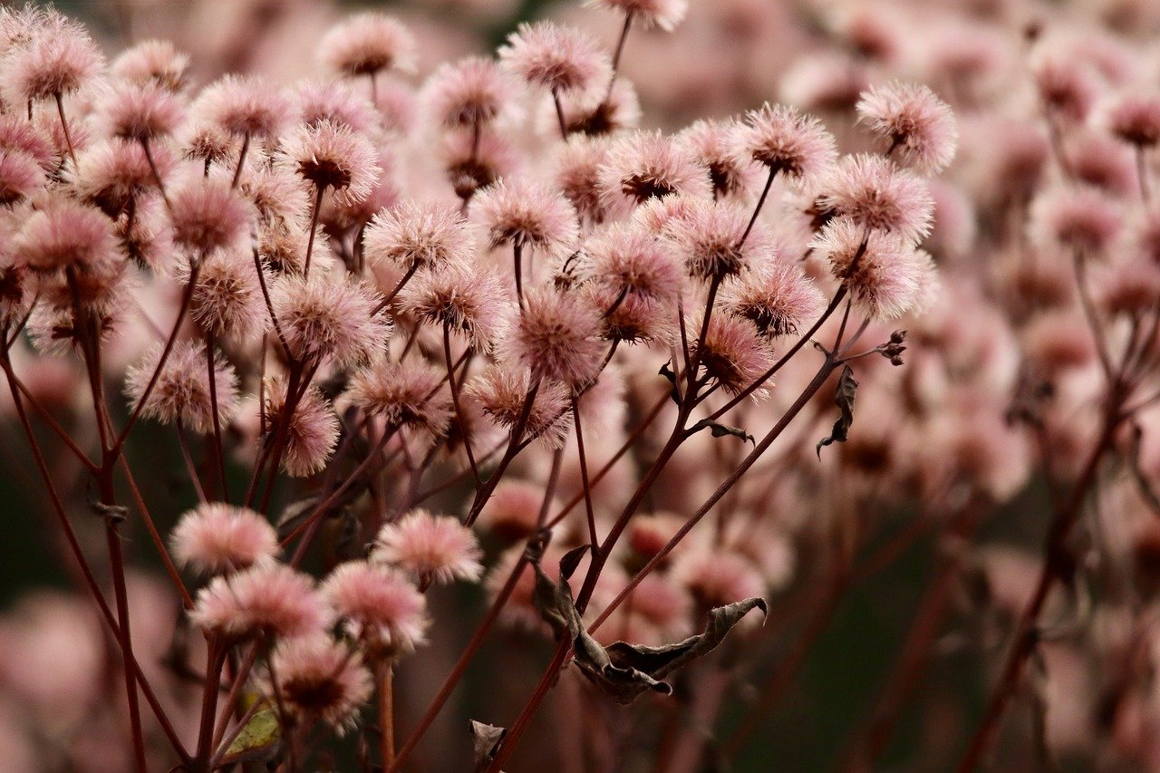 拼多多实名账号：寻找襄阳代理记账平台