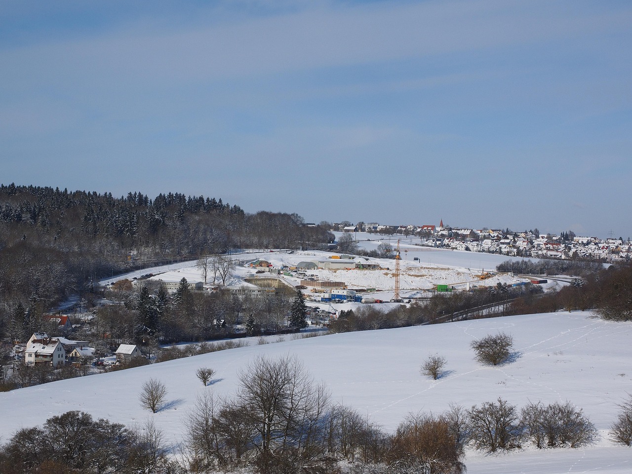 缅甸忠告图七星蓝莓：个人注册代理多久办下来